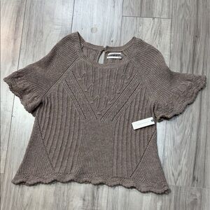 Anthropologie Taupe Knit Sweater